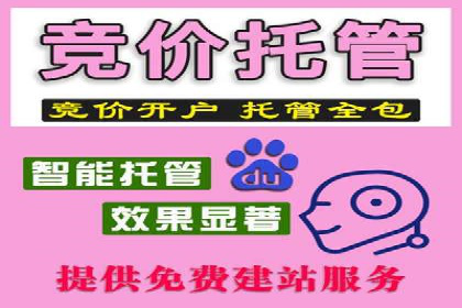 高效SEM广告投放实战技巧